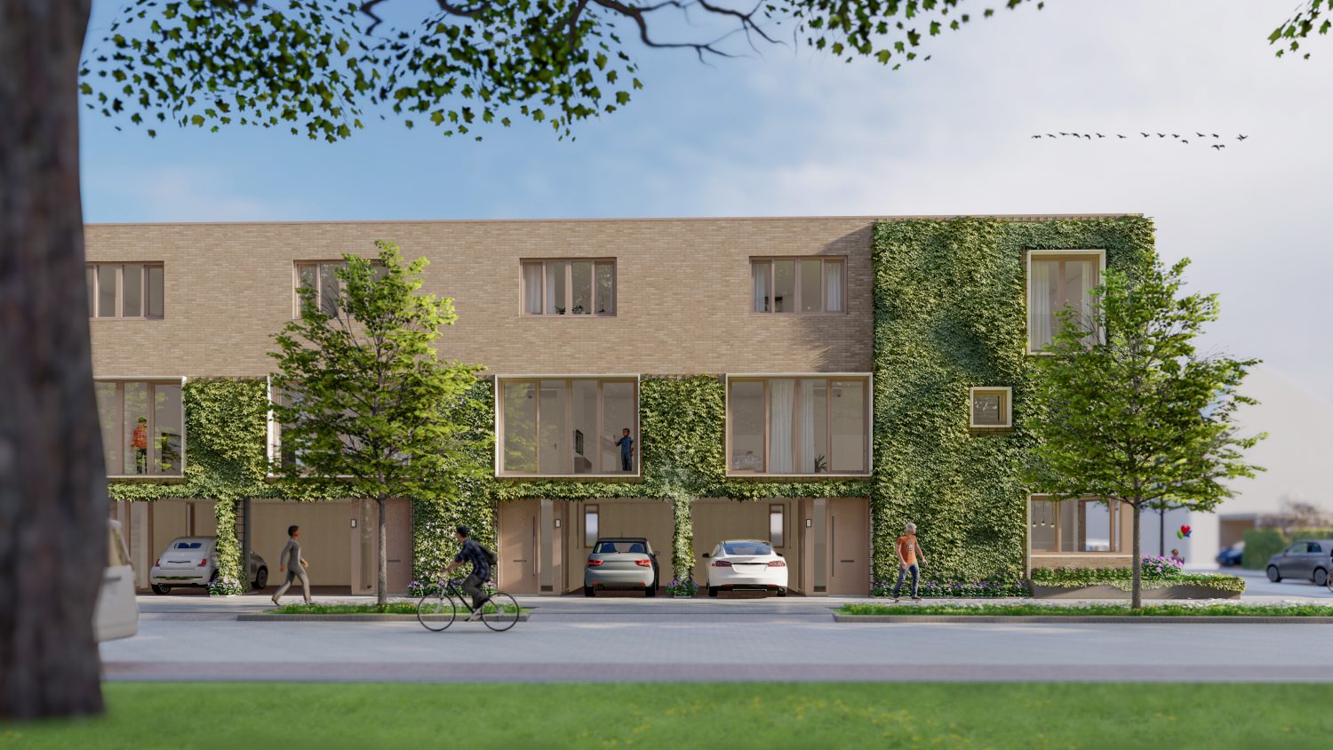 Haifaweg rendering
