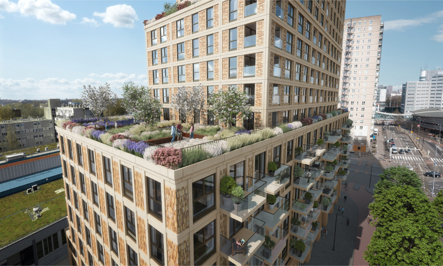 Grote Beer, Rotterdam Klunder Architecten